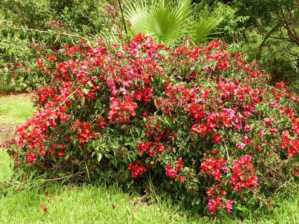Finca El Cielo San Agustín Екстериор снимка