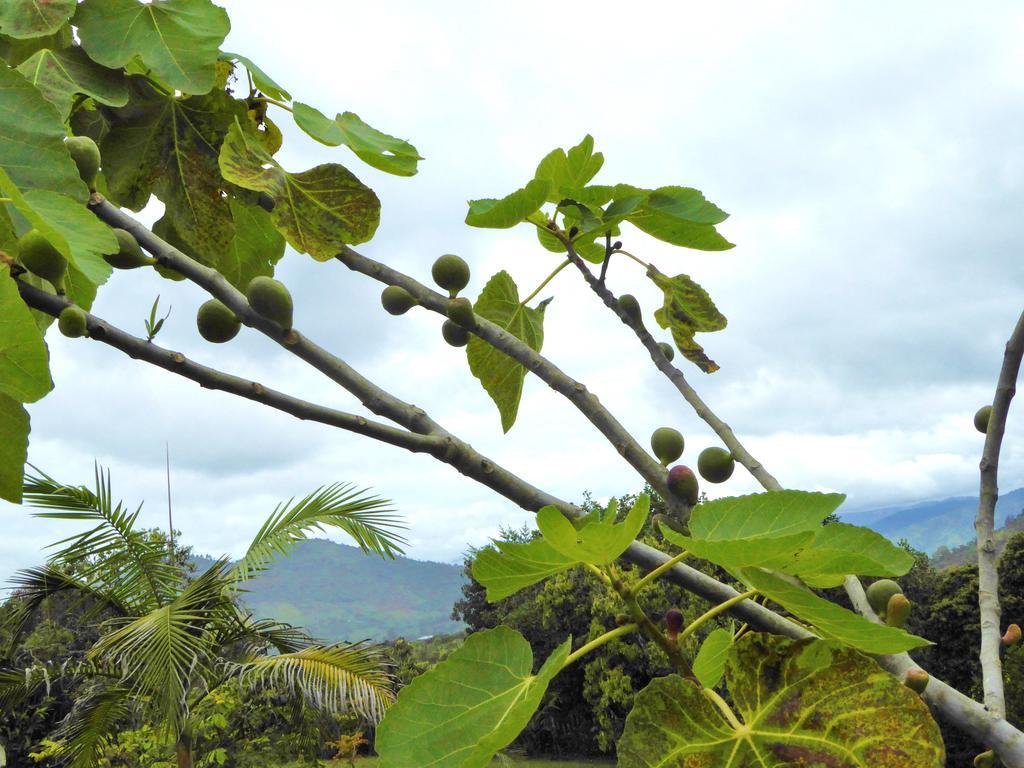 Finca El Cielo San Agustín Екстериор снимка